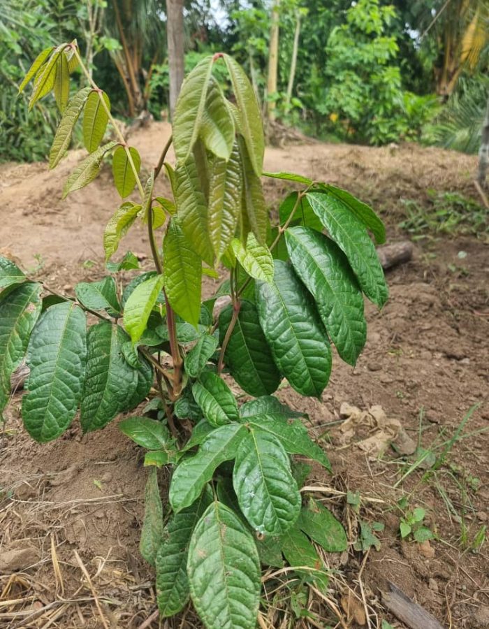 WhatsApp Image 2026-02-19 at 14.58.43