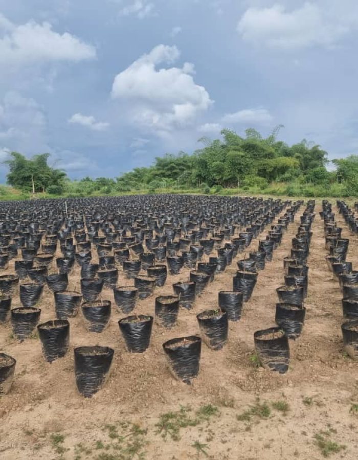 WhatsApp Image 2026-02-19 at 14.58.47